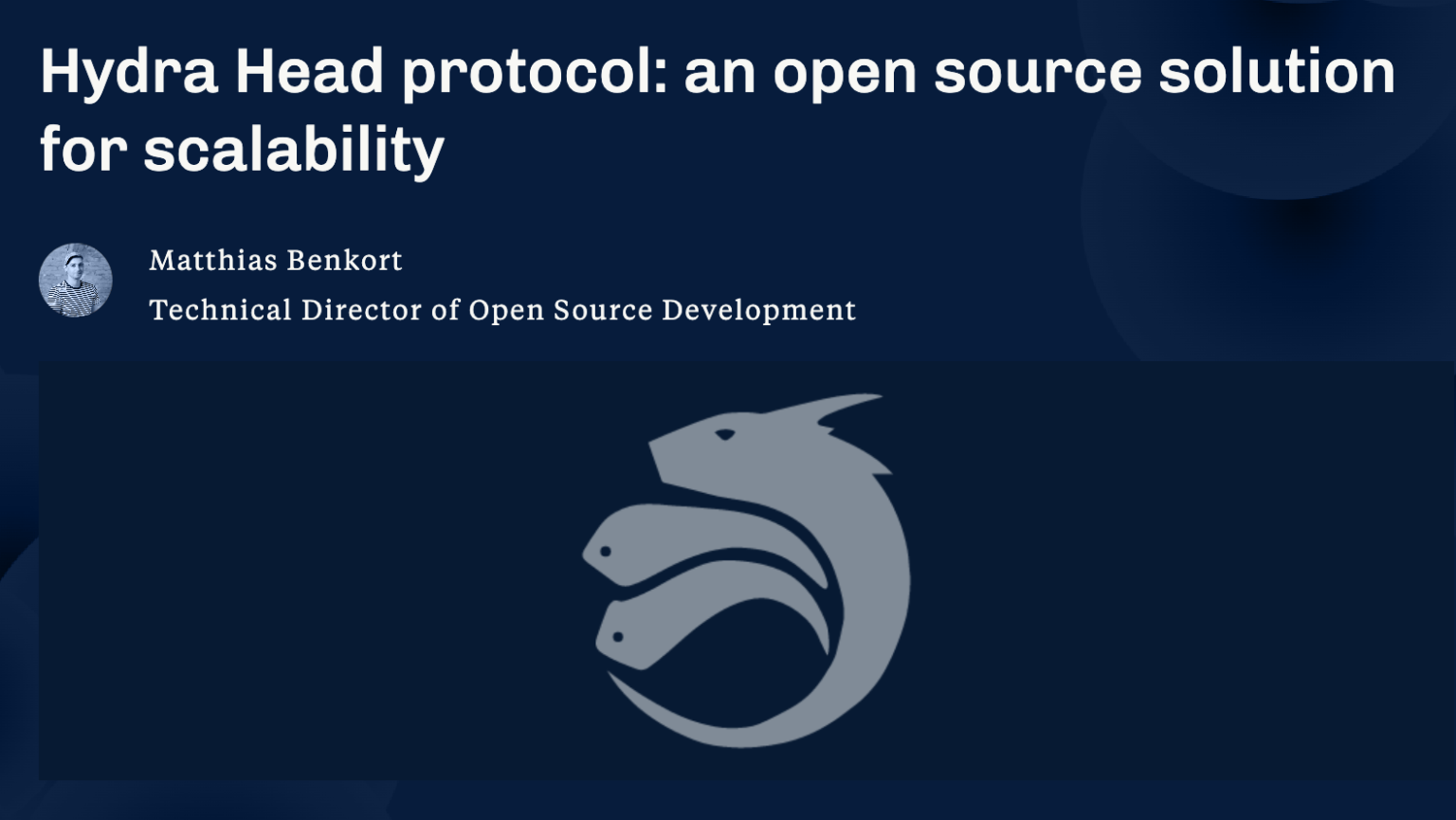 ハイドラヘッド・プロトコルとは？ その仕組みと開発状況 | Coffee Pool☕️