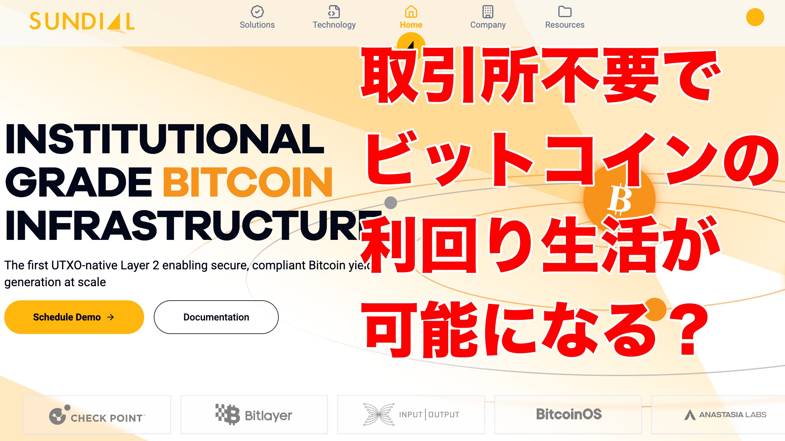 Sundialとは？」BTCとカルダノをつなぐ新たなプラットフォームを解説！ | Coffee Pool☕️